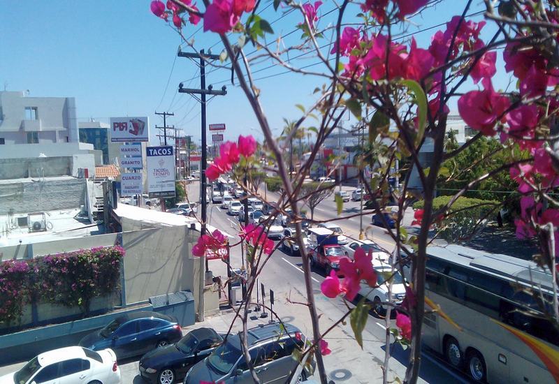 Hotel Mazatlan Ngoại thất bức ảnh